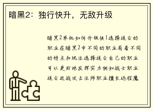 暗黑2：独行快升，无敌升级